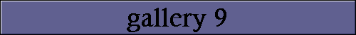  gallery 9 